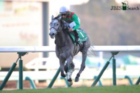 JRAデアリングタクトの評価さらに上がった!?  3歳牝馬が古馬相手に快勝！アーモンドアイ、コントレイルとの対決も……
