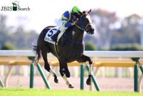 JRA「サウスポー」シャドウディーヴァあえての牡馬挑戦!? エプソムC（G3）M.デムーロ騎手確保で初重賞制覇へ！