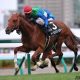 JRA社台グループも諦めた? 北海道の競馬関係者が嘆く「札幌記念G2→G1昇格」は、もはや夢物語か