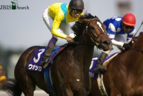 JRA安田記念（G1）武豊ウオッカ「ドキドキさせてすみません」絶体絶命の前が壁！ ヴィクトリアマイル（G1）アーモンドアイ4馬身を上回る7馬身差で挑んだ2009年