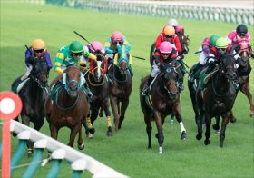 JRAアイビスサマーダッシュでマスコミの予想が参考にならない訳。線ではなく点で考える本当に買うべき千直条件馬とは？