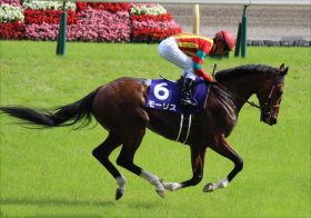 JRAモーリス産駒“真打ち”出陣!? 「13冠ベビー」ジェラルディーナが母ジェンティルドンナ主戦岩田康誠でデビュー