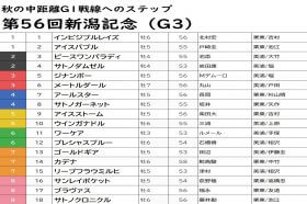 JRA3歳馬ワーケアは新潟記念（G3）で通用しない!? 「夏」に欠かせないキーワードで「爆穴」高配当を狙い撃ち！