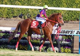 JRA“VS”森秀行調教師の知恵比べ!? 弥生賞ダントツ最下位も喝采「ヘヴィータンクルール」誕生から2年……「総賞金の山」を巡る頭脳戦