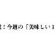 JRA阪神JF(G1)音無厩舎が2週連続G1で「再」ブーイング!? 大本命クリソベリルに続き「状態良さそう」インフィナイトも……