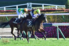 JRA【クイーンC（G3）展望】「居眠り疑惑」怪物リフレイムVS「12冠ベビー」アカイトリノムスメ！藤田菜七子「大物」ドゥラメンテ2世と参戦も？