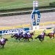 JRAジャパンC(G1)優勝アーモンドアイ繁殖入りに「最強配合」の夢広がる!注目の初年度はあの馬が最有力も…… 最強牝馬に立ちはだかる苦しい現実