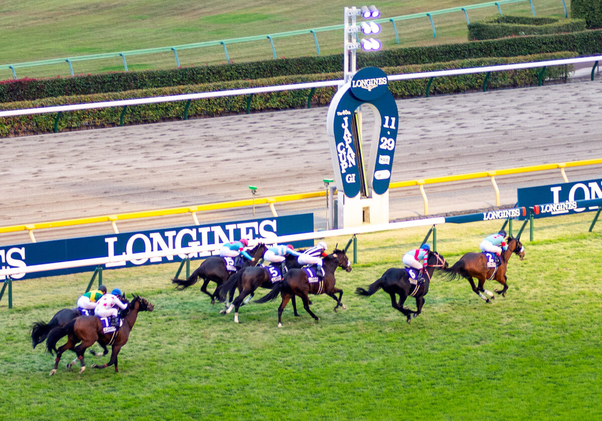 JRAジャパンC（G1）霜降り明星・粗品が「28万円」大勝負！ 有馬記念（G1）にアノ馬参戦決定で「全全全馬/RADWIN5」の再現あるかの画像1