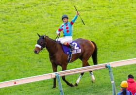 JRA年度代表馬はアーモンドアイで決まり？ 混戦模様の選考争いに終止符……牡馬3冠“栄光の歴史”どんでん返しもジャパンC（G1）直接対決でぐうの音も出ず!?