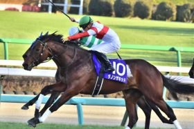 JRA川田将雅とダノンザキッドの「コントレイル街道」はいばらの道!? 「クラシック主役級」と評判の超大物が共同通信杯（G3）で激突か