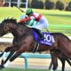 JRA「125戦全敗」白毛馬ソダシはあの“限界説”を越えられるか……デアリングタクトに続く「無敗3冠牝馬」誕生へ暗雲