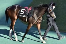 JRA牝馬出世レースに素質馬＆有力馬が集結！ 12冠ベビー・アカイトリノムスメ、「怪物復権」リフレイムらが虎視眈々