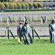 武豊「1着に飢えて」JRAから戒告 新馬8馬身差「大楽勝」の大器がクラシック黄信号…ドウデュースらが「見向きもしない」大阪杯の価値【週末GJ人気記事ぶった斬り!】