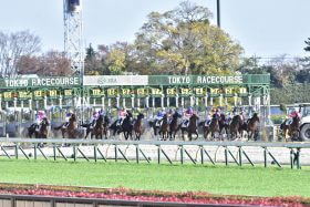 関東圏ラストの新馬戦で「芦毛の怪物」の末裔がデビュー！「令和の時代に見られるとは感慨深い」上積み必至で今後も要注目？
