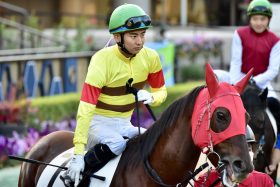 【チャンピオンズC】190万馬券の立役者・原優介「全国デビュー」に嘆きの声!? 12番人気ウィルソンテソーロで豪快追い込みも「ついに原がバレてしまった」