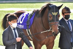 JRA 安藤勝己氏「これくらいの器」富士S（G2）2番人気敗退ダノンザキッドを酷評!? プラス22キロも「太くなかった」と考える理由とは