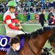 JRAマイルCS(G1)本線的中も「本命馬変更」に“難癖”!? あの注目予想家「誤った予想をそのまま放置する方が不誠実」にファンも同意