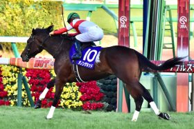 JRA ダノンザキッド「皐月賞の呪い」でまた勝てない!? 6年前の最強世代も陥った継続中の「ジンクス」…とは