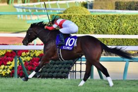 JRA弥生賞（G2）大本命ダノンザキッドに「2つ」の死角。馬場悪化なら大荒れ必至!?