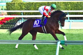 ダノンザキッド「鬼門」の中山でまたも悪夢…2度目のゲート再審査でドバイ遠征も中止と踏んだり蹴ったり