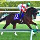 JRA【弥生賞(G2)展望】川田将雅ダノンザキッドに襲い掛かる超新星! C.ルメール×手塚貴久厩舎×サンデーレーシングは「あの天皇賞馬」を彷彿?