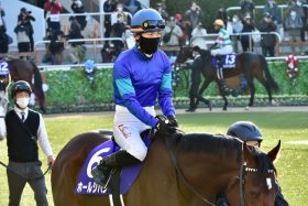 JRA G1未勝利の中堅騎手が「9年越し」のリベンジへ！ スプリングS（G2）かつて主戦を務めたG1馬の息子で優先出走権獲得なるか