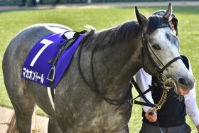 JRA天皇賞・春（G1）ビワハヤヒデとワールドプレミア「仁川の長丁場」を制するために必要なもの…「黄金の不沈艦」の血を継ぐ「末脚特化型」が急浮上!?