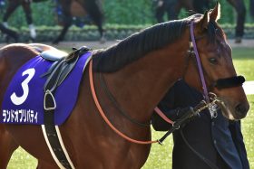 JRAスプリングS（G2）ランドオブリバティ再び「気性難」露呈で皐月賞（G1）は絶望的……。ホープフルS（G1）逸走から止まらぬ「負の連鎖」