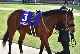 JRA三浦皇成ランドオブリバティ「降板」は両陣営の思惑が一致!? ＭデムーロとスプリングS（G2）へ…… 弥生賞（G2）タイムトゥヘヴンと驚きの騎手スワップ