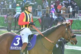 JRAホープフルS（G1）三浦皇成「悪夢の大逸走」から1年。G1初制覇への“大航海”がついにフィナーレ⁉ 掴めるか、どん底からのワンピース