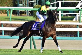 JRA天皇賞・春（G1）タイトルホルダー勝利を呼ぶ「給水所」の存在、横山典弘「歌いながら」の逃亡劇から18年…好走のカギは父と弟にあり？