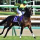 JRA 新人・松本大輝「油断騎乗」で騎乗停止。デビュー3カ月115戦2勝で新人王争いからほぼ脱落……早くも砕け散った「一鞍一鞍大切に」の目標