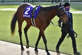 エフフォーリア、タイトルホルダー世代の「実力馬」がいよいよ実戦に復帰！クラシックを戦った「盟友」の復活勝利も追い風となるか