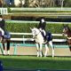 元JRA安藤勝己氏「リスグラシュー2世」に異例のAMツイート!? 「伝説の新馬戦」2着馬の楽勝劇に「納得してもらえたでしょ」