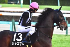 JRAサマーシリーズW優勝で夏の“臨時”ボーナスゲットも夢じゃない！「横山一家」長男・和生の奇跡の“大逆転劇”に期待!!