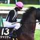 JRA新潟記念(G3)相性抜群の超良血馬に「◎」大波乱必至!? ザダル、トーセンスーリヤ他、人気上位馬は「バッサリ」
