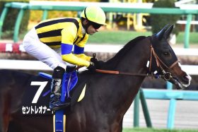 JRA絶好調ルメールの「正しい扱い方」で万馬券連発!?  4年連続リーディングの天才騎手が、実は1/2で「ただの凡人」になる事実に衝撃……