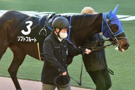 JRA【マーメイドS（G3）展望】コンビ無敗「川田将雅×ソフトフルート」が重賞初Vへ必勝態勢!? 大ケガから復帰の北村友一はクラヴェルと初コンビ！