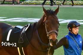 “反則スレスレ”の強烈タックルに泣いた「暴君」オルフェーヴル、弾き返した「不沈艦」ゴールドシップ。約10年の時を経てオールカマー（G2）で激突する「因縁」の名馬の血