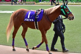 JRA【中山記念（G2）展望】昨年はラッキーライラックVSインディチャンプなど「G1馬」5頭共演→今年はまさかの……