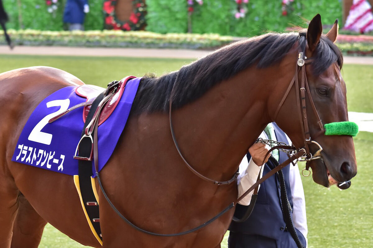 JRA「酒気帯び運転」角居勝彦元調教師との共通点? 「調教停止処分」大竹正博厩舎の全58頭の転厩先に何故、手塚貴久厩舎が選ばれたのかの画像2