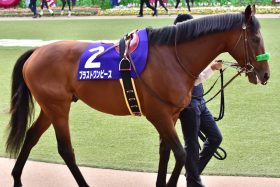 JRA【鳴尾記念（G3）展望】武豊ブラヴァスVS岩田康誠ブラストワンピース！宝塚記念（G1）前哨戦を制するのは？