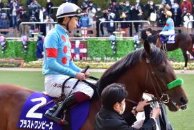 JRA「ポツン」敗戦2頭で横山武史と和生の兄弟対決が実現！ C.ルメール超えた弟に兄の意地を見せられるか、展開のカギを握るのは武豊メイケイエール