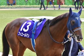 JRAフィエールマン電撃引退で「鞍上問題」が解決!?前“馬”未到の天皇賞・春3連覇の夢は次代に…… コントレイル打倒誓うあの馬に追い風か