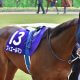 JRA「ルメール祭り」はあっけない結末!? シンザン記念(G3)1番人気ククナ4着敗戦でアーモンドアイに続けず…… 敗因明白で巻き返し必至