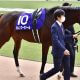 JRA宝塚記念(G1)川田将雅×レイパパレに朗報!? ソダシを失速させた“距離の壁”が「無敗」を後押し、限界突破する「母父」クロフネの可能性