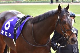 JRA何故「干された」M.デムーロ騎手が抜擢されたのか。約3年ぶりキセキとのコンビ復活……昨年わずか7鞍の「疎遠状態」が一変した理由