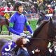 JRA 武豊は信頼度抜群!? 一球入魂ならぬ「一鞍入魂」の信頼度は本当か。川田将雅、横山典弘などトップジョッキーにみる「1日1鞍」限定の“勝負駆け”を探る!