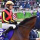 新種牡馬フィエールマン「18戦未勝利」の大苦戦…C.ルメールとデビューするG1・6勝馬の「孫」にかかる期待