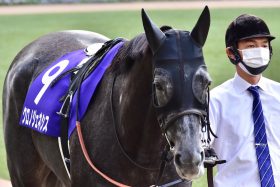 クロノジェネシスが挑む凱旋門賞（G1）に新たな強敵登場！スノーフォールだけでなく、ダービー＆キングジョージ連勝のライバルはいずれも3歳馬